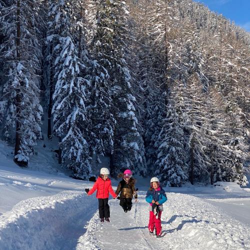Winterabenteuer am Wölferler
