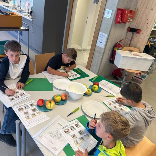 3. Klasse