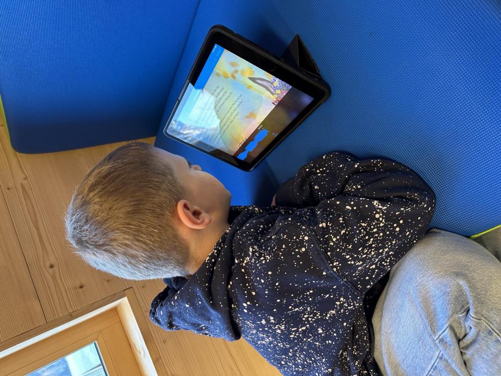 Leseprojekt 2 Klasse